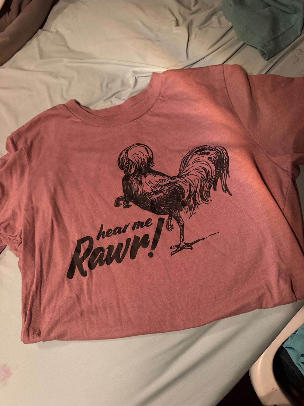 Graphic Short Sleeve Tee in Dusty Rose - Hear Me Rawr!